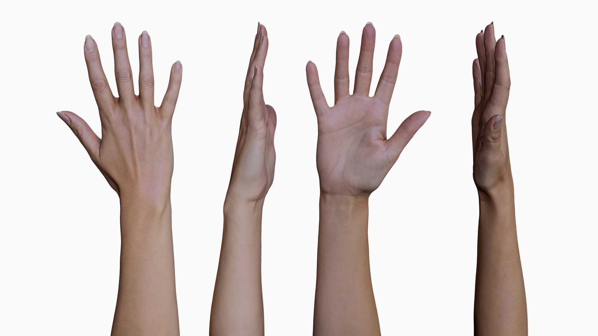 Hand Reference Image Asdela